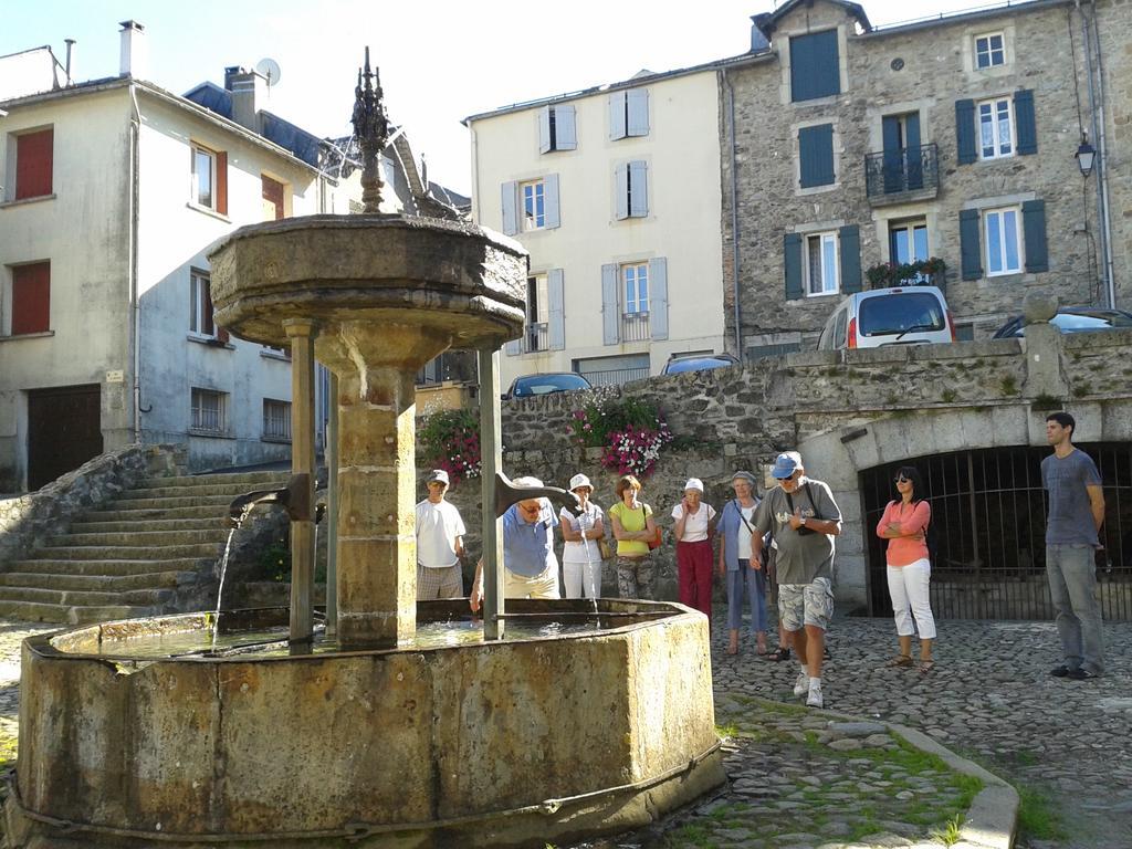 Gite "Les Hortensias" Au Coeur De Lacaune Exterior photo